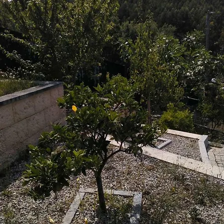 Holiday home Casa Das Mimosas Aldreu