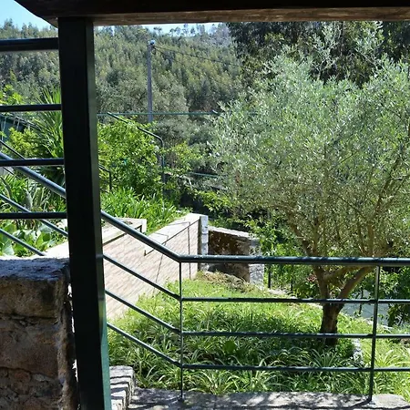 Casa Das Mimosas Holiday home Aldreu