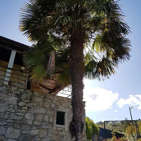 Holiday home Casa Das Mimosas